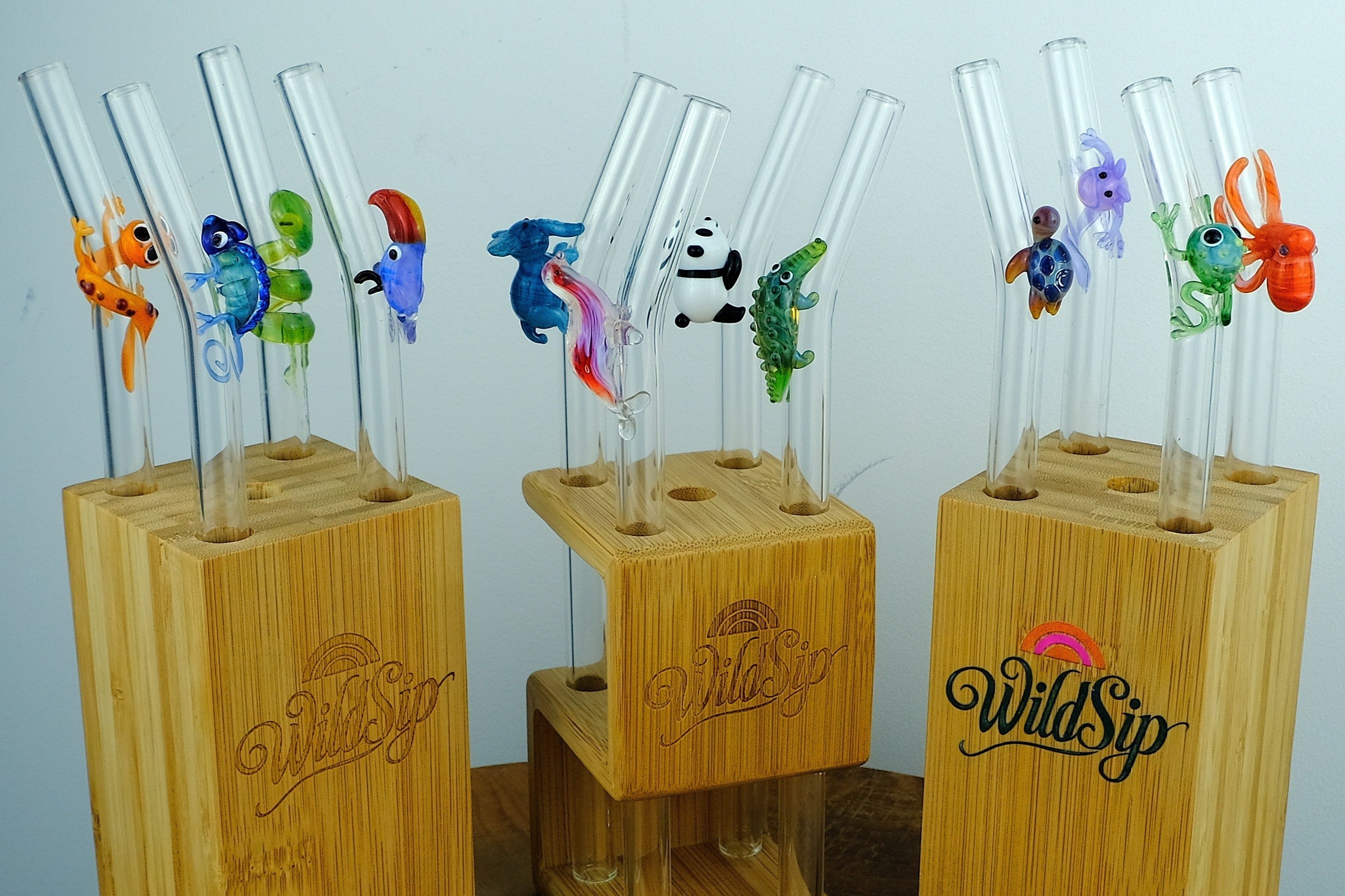 Create Your Collection