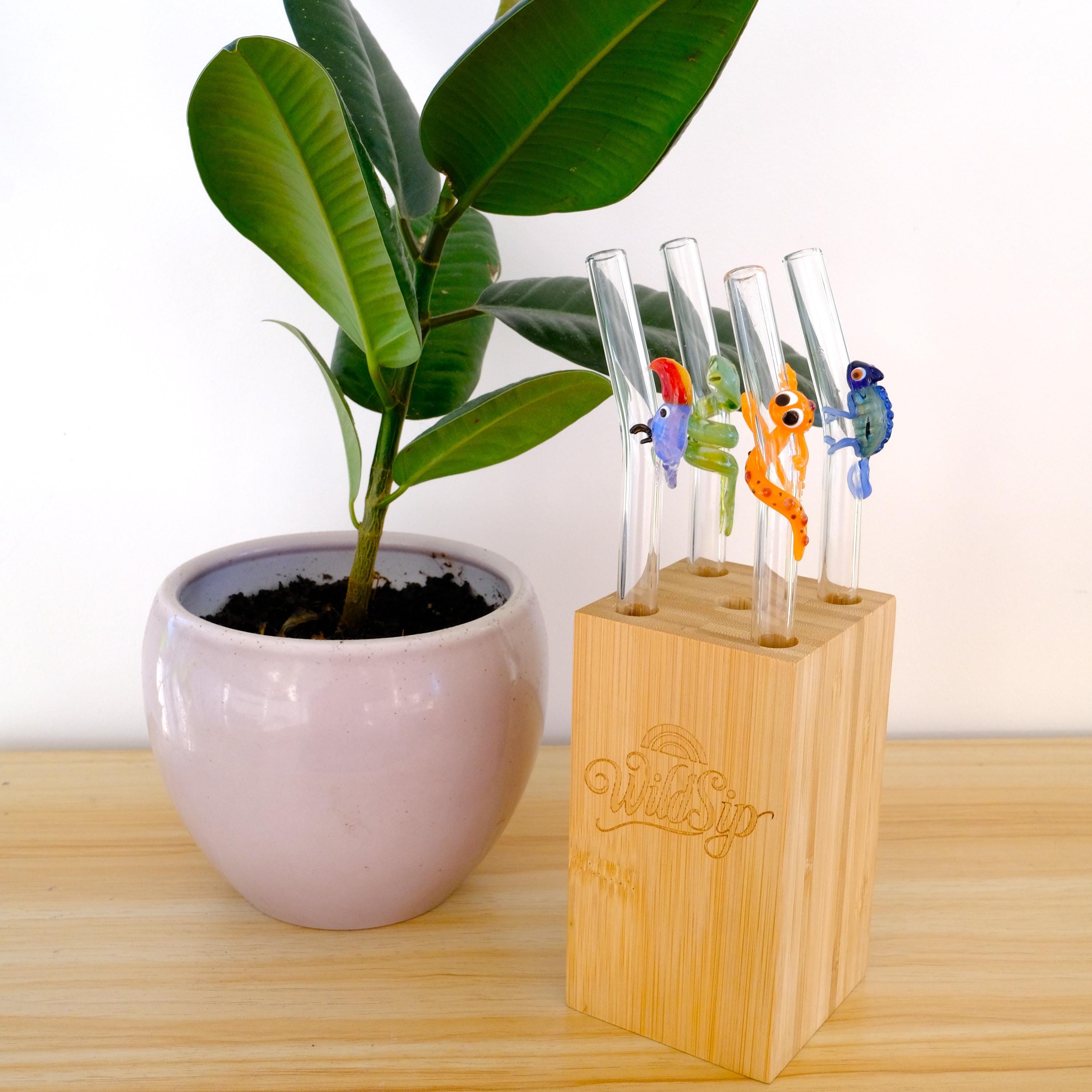 Jungle Set with Block Habitat (holder for free!)