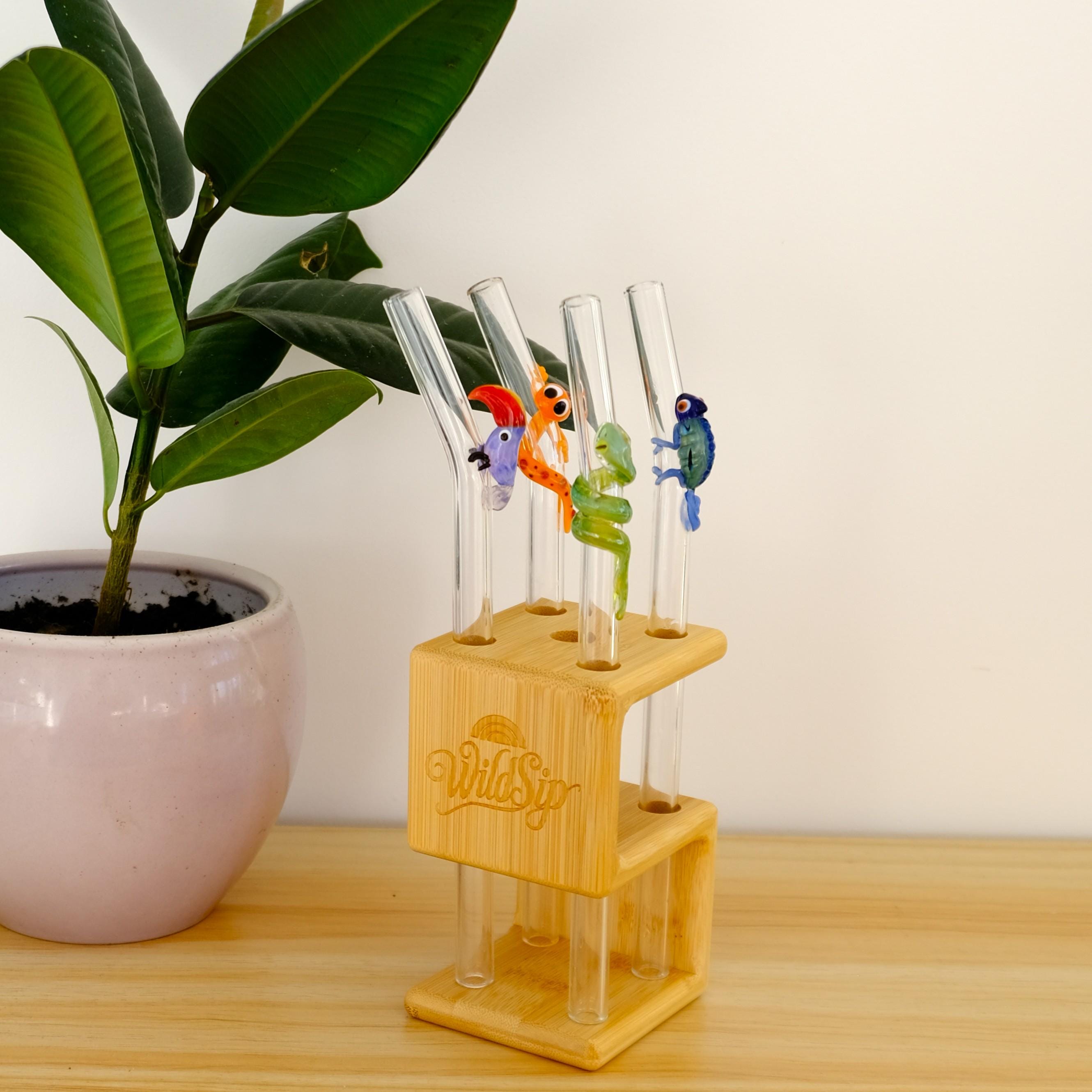 Jungle Set with ZigZag Habitat (holder for free!)